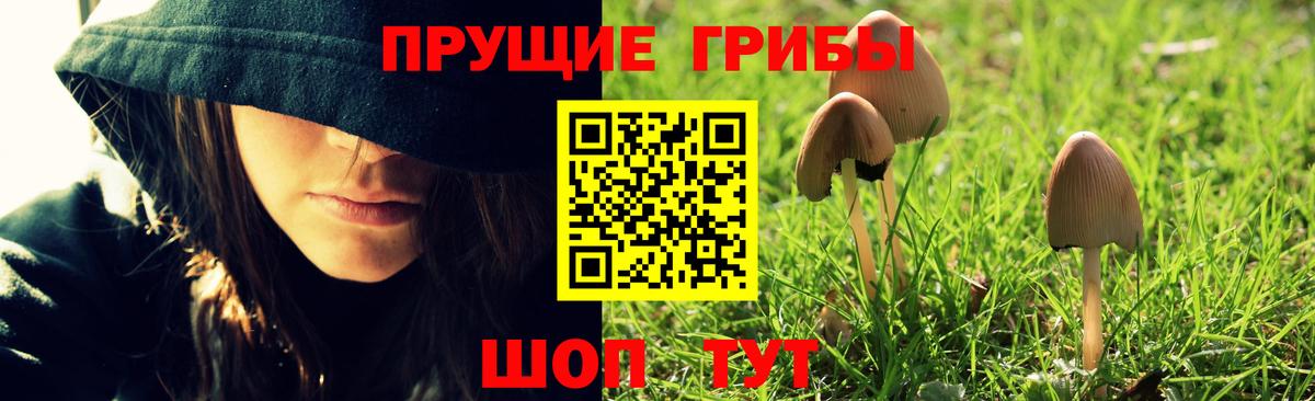 Санкт-Петербург  Псилоцибиновые грибы мухоморы  Вход с VPN 