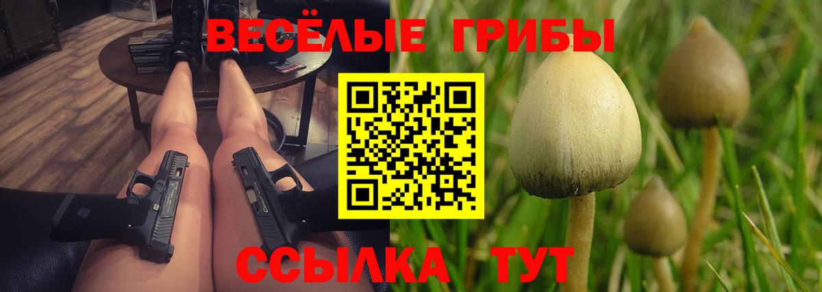 Псилоцибиновые грибы MAGIC MUSHROOMS Санкт-Петербург